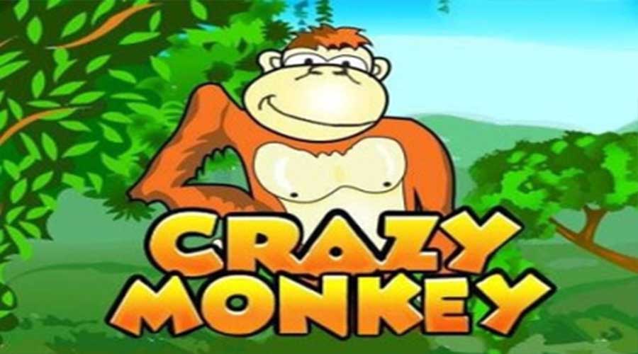 Crazy Monkey: обзор легендарного автомата